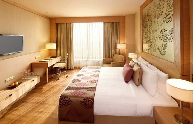 جناح بسرير كينج، Radisson Blu Hotel, New Delhi Dwarka 4/10