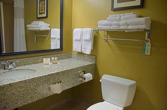 Standard, King Bed, Accessible, Best Western Plus Canyon Pines 4/6