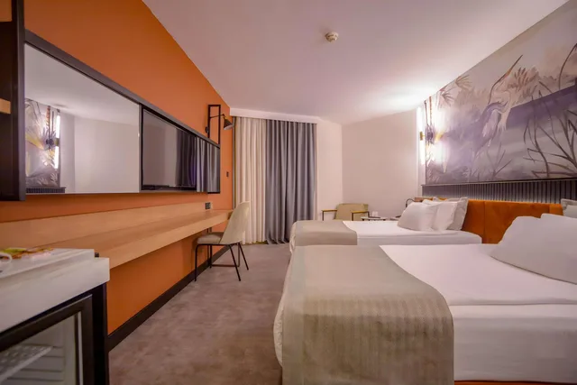 غرفة ديلوكس بسرير كينج بإطلالة على المدينة، Best Western Plus Khan Hotel 1/7