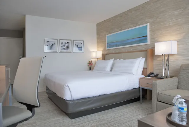 غرفة قياسية بسرير كينج مع أريكة، Holiday Inn Washington Central/White House 2/6