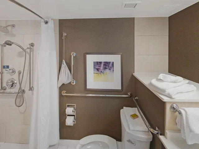 غرفة بسرير كينج بإطلالة على المدينة لذوي الإعاقة، Hilton Harrisburg 5/5