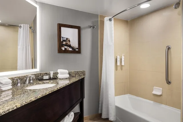 Suite, King Bed, Allergy Friendly, Accessible, Embassy Suites by Hilton Birmingham 7/9