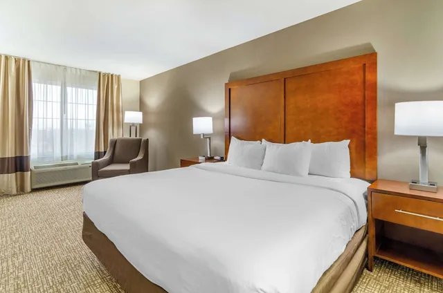 غرفة قياسية بسرير كينج، Comfort Inn And Suites 1/3