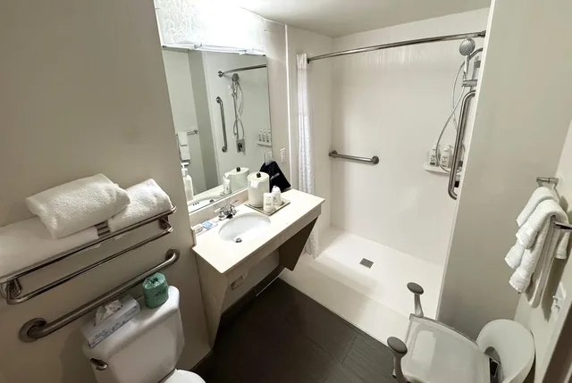 غرفة قياسية بسرير كينج لذوي الإعاقة، Wingate By Wyndham Raleigh Durham Airport 6/6