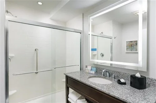 غرفة بريميوم بسرير كينج بحوض استحمام لذوي الإعاقة، Hampton Inn Washington Dc /White House 1/1