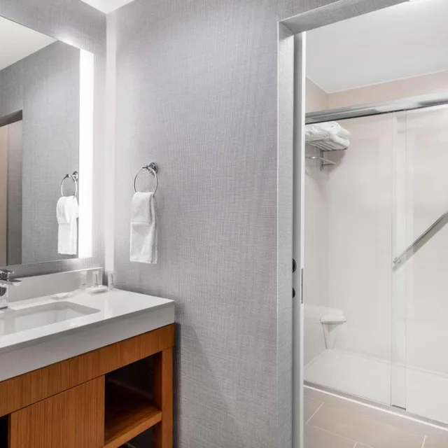 Specialty, King Bed, Sofa، Hyatt Place Fort Worth-Alliance Town Center 1/1