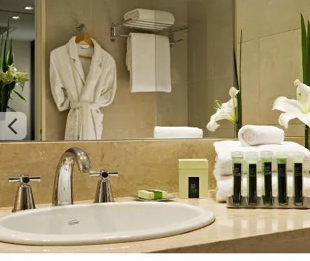 جناح جونيور بسرير مزدوج بإطلالة، Hotel Madero, WorldHotels Elite 1/2