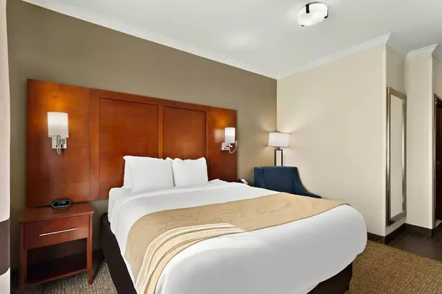 جناح، Comfort Suites Corpus Christi Central 6/10