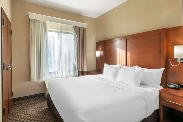 غرفة بسرير كينج مع أريكة لذوي الإعاقة، Comfort Suites Manhattan 1/2