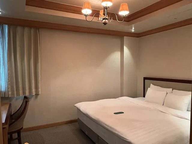 جناح جونيور بسرير كوين، Hotel International 2/5