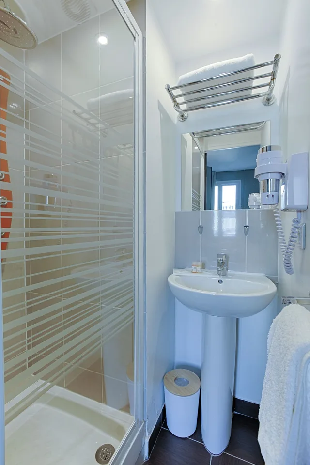 غرفة بزنس بسرير فردي، Hotel Avama Prony 6/7