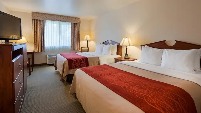 غرفة قياسية بسريرين كوين يُسمح فيها بالحيوانات الأليفة، SureStay Plus Hotel by Best Western Buffalo 1/6