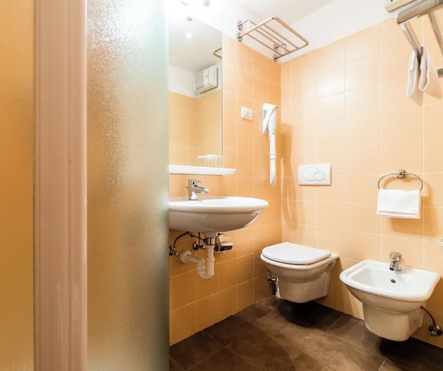 Studio, Double Bed, Sofa, Balcony, Residence Lastei 8/10