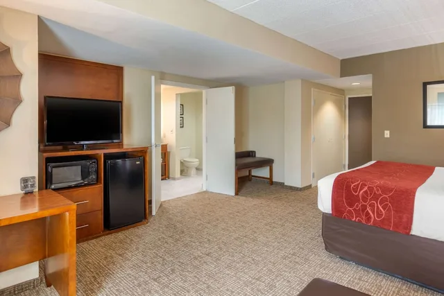 Studio, Suite, King Bed, Sofa, Comfort Suites South Park 3/6