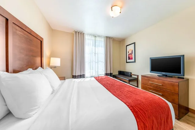 جناح بسرير كينج مع أريكة، Comfort Inn & Suites Lancaster Antelope Valley 1/10
