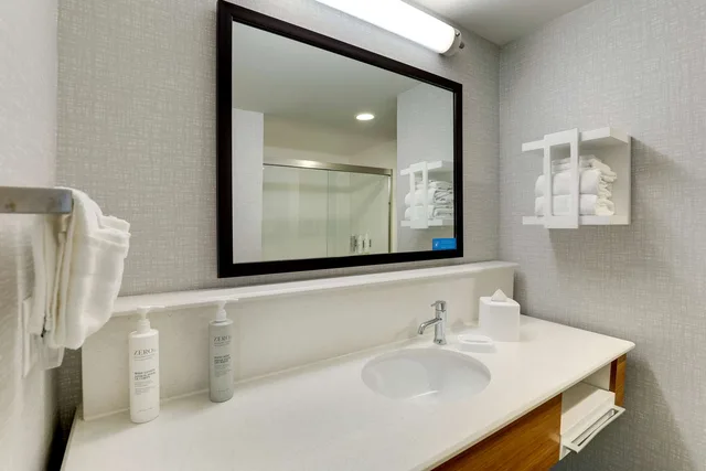 غرفة بسرير كينج بإطلالة على المدينة، Hampton Inn & Suites Rome 3/3