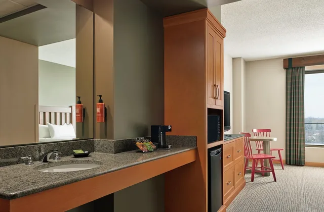 Deluxe, Suite, 1 Queen and 1 Bunk Bed, Bunk Bed, Sofa, Great Wolf Lodge Bloomington 4/4
