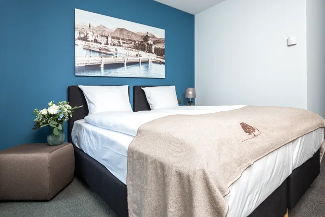 Economy, Double Bed, Hill View، Seehotel Kastanienbaum 2/4