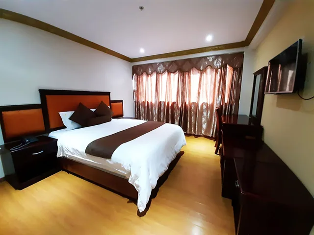 غرفة سوبيريور بسرير مزدوج، Hotel Swan 1/3