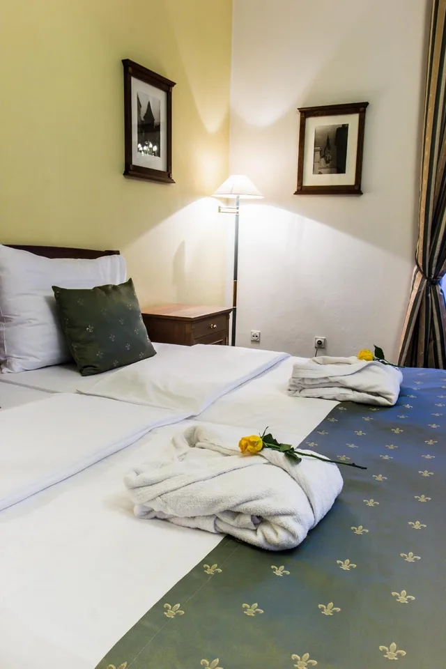 جناح عائلي بسرير كينج بشرفة، Hotel Dvorak 5/10