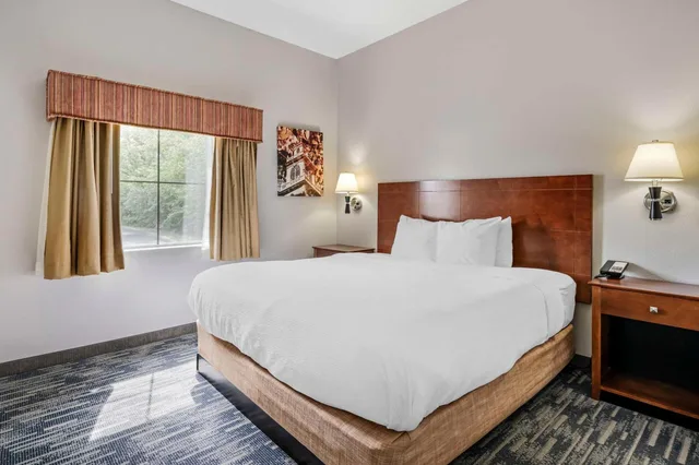 جناح بسرير كينج بمنطقة جلوس، Country Inn & Suites by Radisson, Pickerington, OH 2/5