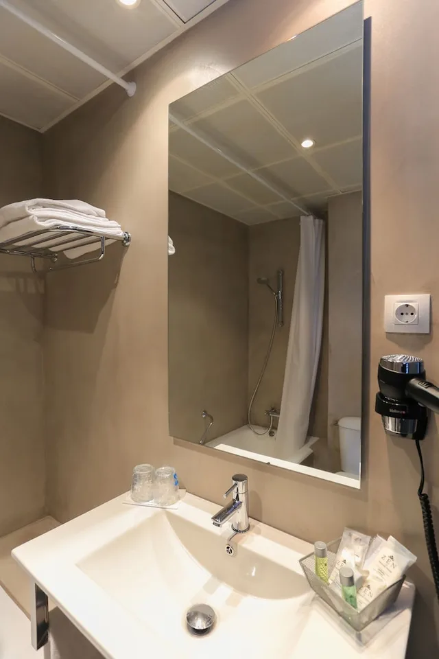 غرفة قياسية بسريرين منفصلين، Hotel Sercotel Leyre 8/10