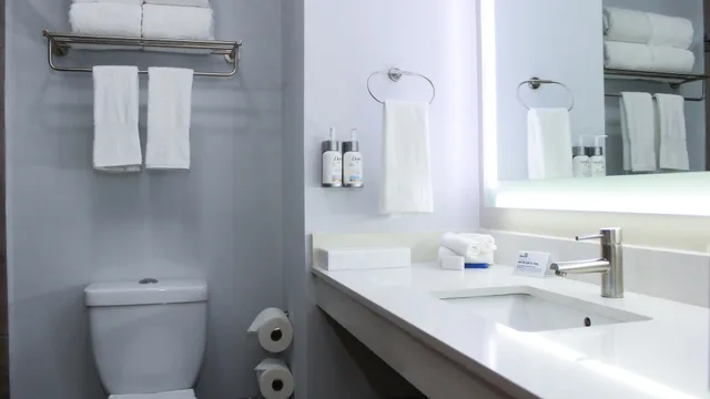 غرفة بسرير كينج لذوي الإعاقة، Holiday Inn Express And Suites Ciudad Obregon 4/4