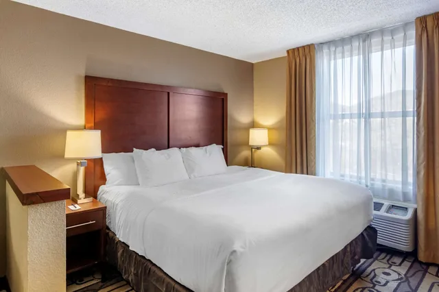 غرفة قياسية بسرير كينج مع أريكة، Comfort Inn Staunton 3/9