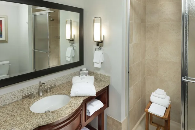 غرفة بسرير كينج بشرفة، DoubleTree by Hilton Hotel Asheville Biltmore 3/3
