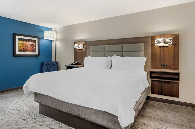 غرفة قياسية بسرير كينج لذوي الإعاقة، Holiday Inn Express & Suites NASHVILLE SOUTHEAST - ANTIOCH 6/9