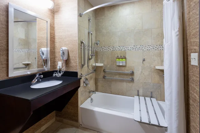 Standard, King Bed, Accessible, Holiday Inn Express Hotel Suites Rochester 4/4