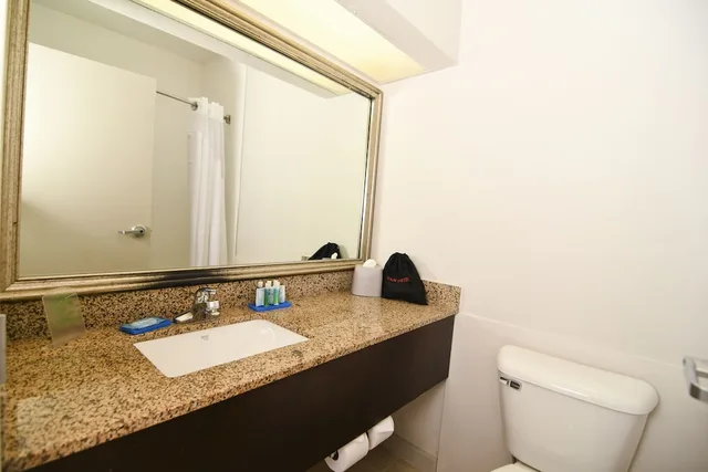 Standard, King Bed, Sofa, Holiday Inn Express Hotel And Suites Port Clinton Catawba Island 9/9