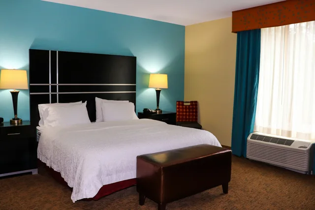 غرفة بسرير كينج لذوي الإعاقة، HAMPTON INN AUSTIN/OAK HILL 8/10