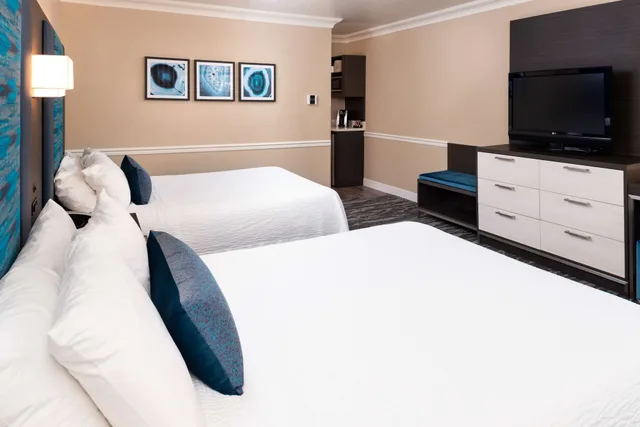 جناح بسرير كينج وسريرين كوين، Best Western Plus Novato Oaks Inn 1/5