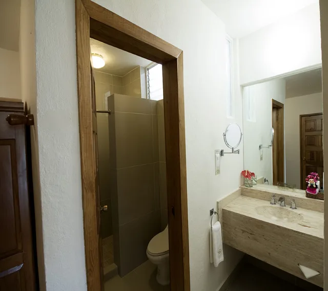 غرفة غراند بسرير كينج يُسمح فيها بالحيوانات الأليفة، Hotel Mision Grand Juriquilla Queretaro 3/4