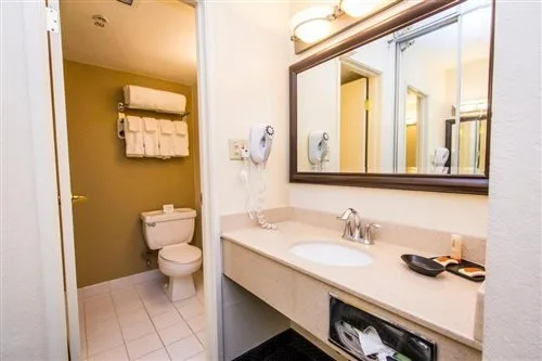 Room, Single, King Bed, Knotts Berry Farm Resort Hotel 1/1