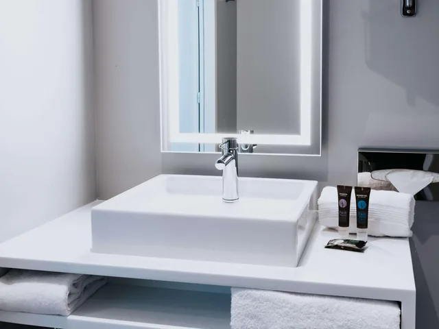 غرفة سوبيريور بسريرين منفصلين لذوي الإعاقة، Novotel Angers Centre Gare 6/6