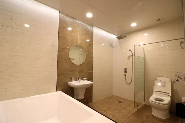 Standard, King Bed, Airport Hotel 3/3