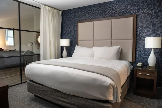 جناح سوبيريور بسرير كينج مع أريكة يُسمح فيها بالحيوانات الأليفة بحوض استحمام، Haywood Park Hotel, Ascend Hotel Collection 4/10
