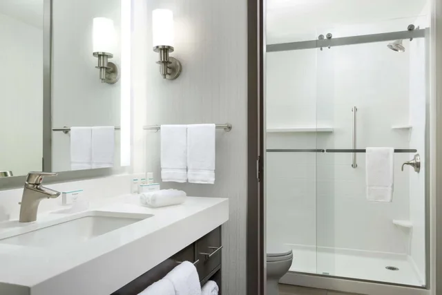 استوديو بسرير كينج مع أريكة لذوي الإعاقة، Homewood Suites by Hilton San Jose Santa Clara 4/5