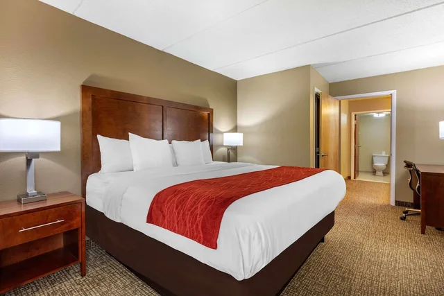 جناح مع أريكة، Comfort Inn & Suites Hamilton Place 3/4