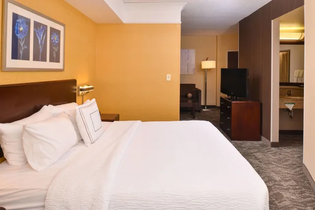 Studio, King Bed, Sofa, Springhill Suites Pittsburgh Mills 1/10