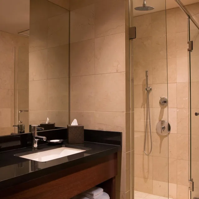 جناح كلوب، Millennium Hotel Knickerbocker Chicago 3/4