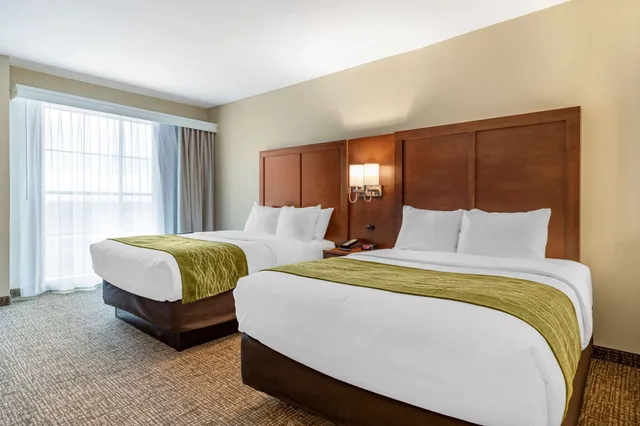 جناح ديلوكس بسريرين كوين، Comfort Suites San Antonio Ft. Sam Houston/SAMMC Area 1/5