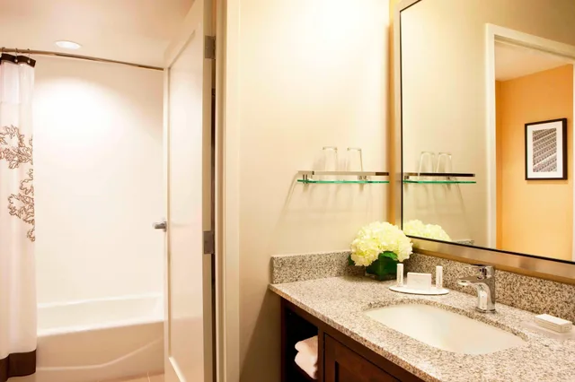 Studio, Suite, King Bed, Sofa, Residence Inn By Marriott Boston Back Bay Fenway 5/9