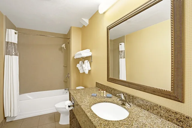 غرفة بسرير كينج لذوي الإعاقة، Wingate By Wyndham Atlanta Airport Fairburn 4/4