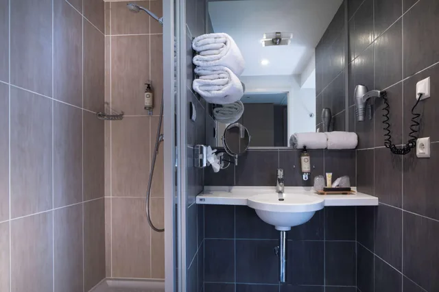 غرفة بسرير كوين، Best Western Plus Hotel Les Rives Du Ter 5/7