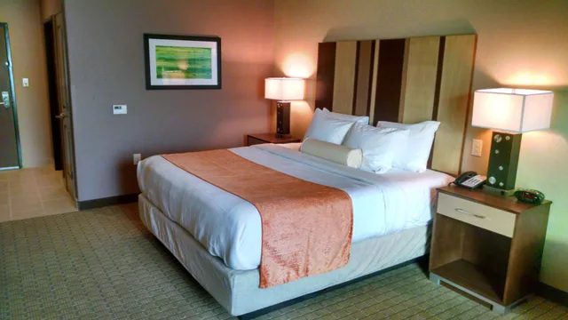 غرفة قياسية بسرير كينج، Best Western Plus Flatonia Inn 1/3
