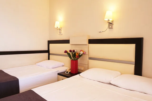 غرفة قياسية بسرير مزدوج، Wien Star Hotel 5/7