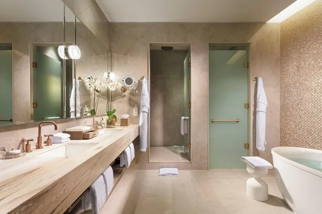 جناح بانورامي، Mandarin Oriental Santiago 2/2